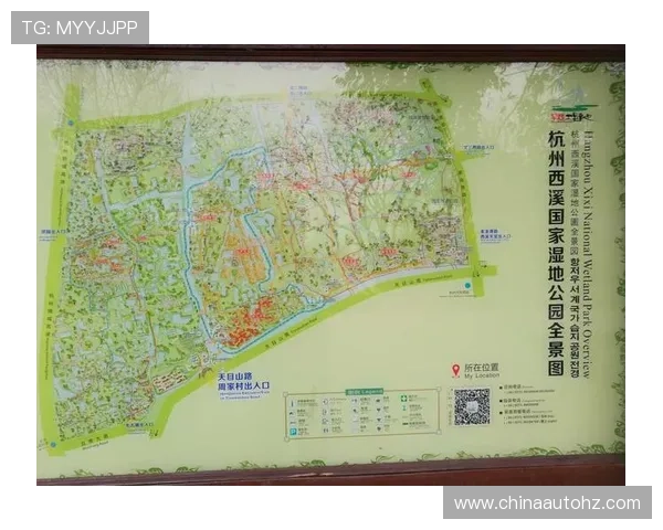 杭州篮球队杯赛技术分析与表现评估全景解读 杭州篮球队杯赛技术分析与表现评估全景解读